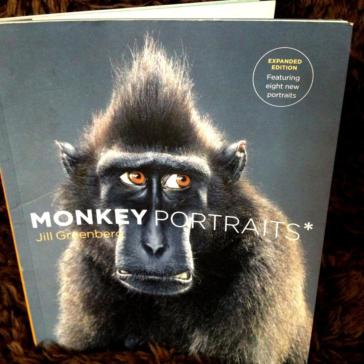 75 delightful photos of primates who reveal their very human-like emotions 
Monkey Portraitsby Jill GreenbergLittle, Brown & Company2007, 128 pages, 8.3 x 10 x 0.4$7 Buy a copy on Amazon
I recently ran across Monkey Portraits at my local used bookstore – The Iliad Bookshop – and couldn’t put it down. Commercial and celebrity photographer Jill Greenberg spent five years photographing monkeys (and some apes) who she met through animal agencies and trainers, ending up with this collection of 75 spectacular primate portraits. The photos are not only technically beautiful but also truly amazing in the way that Greenberg so perfectly captured the expressions and emotions of these creatures. Animal books aren’t usually my thing, but with this book I studied every monkey on every page, laughing especially hard at the ones who reminded me of someone I knew. These photographs are a reminder of how similar primates are to humans, and how similar humans are to primates. – Carla Sinclair
Note: I bought the paperback, which costs $7 via the link above. A hardback also exists at that link, but the cost will jump to $21.