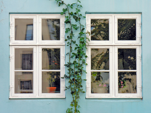 Beautiful windows in Copenhagen, Denmark