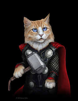 Thor Kitty
