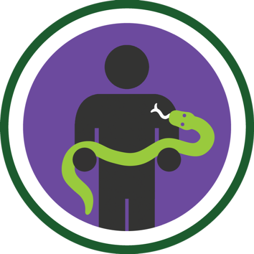 Lifescouts: Snake-Holding Badge
If you have this badge, reblog it and share your story! Look through the notes to read other people&#8217;s stories.
Click here to buy this badge physically (ships worldwide).
Lifescouts is a badge-collecting community of people who share real-world experiences online.