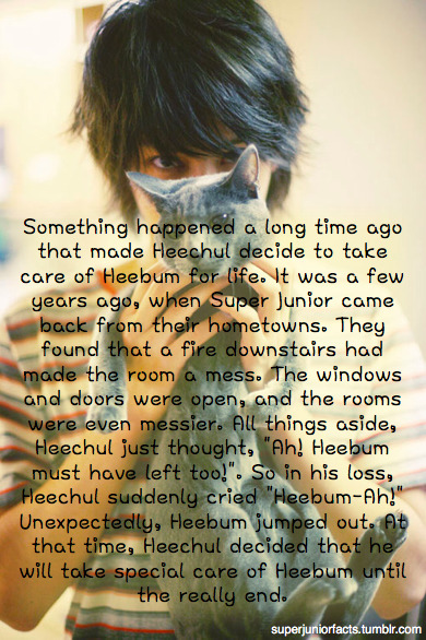 &#8220;Something happened a long time ago that made Heechul decide to take care of Heebum for life. It was a few years ago, when Super Junior came back from their hometowns. They found that a fire downstairs had made the room a mess. The windows and doors were open, and the rooms were even messier. All things aside, Heechul just thought, “Ah! Heebum must have left too!”. So in his loss, Heechul suddenly cried “Heebum-Ah!” Unexpectedly, Heebum jumped out. At that time, Heechul decided that he will take special care of Heebum until the really end.&#8221;
