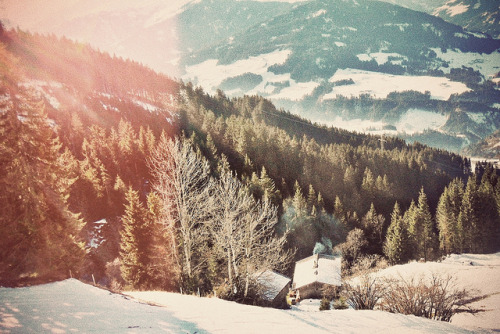 inmensus:

warm winter II by natur.echt on Flickr.


