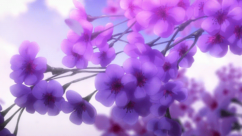 anime flowers tokyo ravens gif | WiffleGif