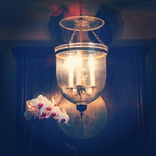#hundilantern #belljarlantern #belgium #antique #lamp #ceilinglamp #orchid #homedecor #interior #interiordecor  #chinesecabinet #buddha  #crystal #glass #lantern