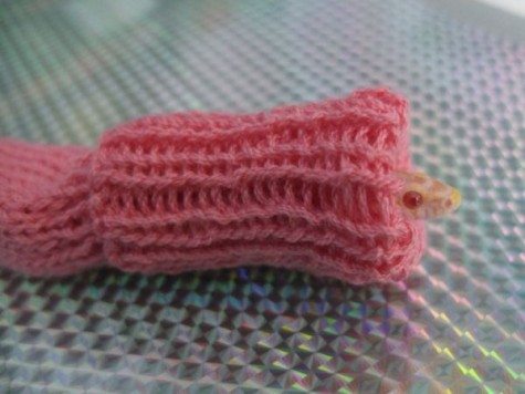 (via Rue The Day! » How to Keep Your Snake Warm)