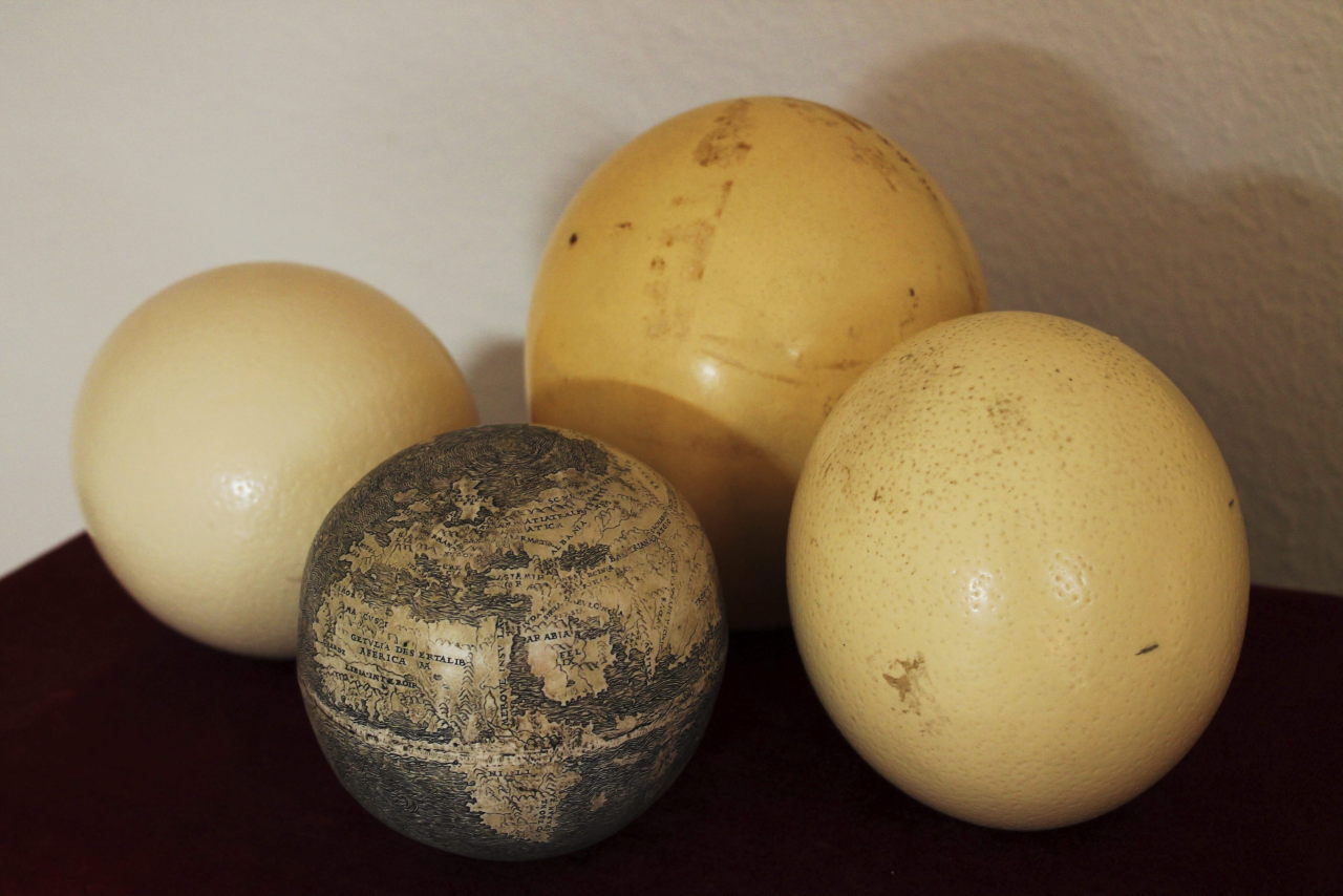 
Un globo terráqueo grabado sobre un huevo de avestruz que se piensa podría ser el más antiguo en representar el &#8220;Nuevo Mundo&#8221; ya que data de principios de 1500. Se han encontrado evidencias en la cáscara del huevo de que el grabador estaba influenciado por Leonardo Da Vinci o trabajaba en su taller. (EFE)