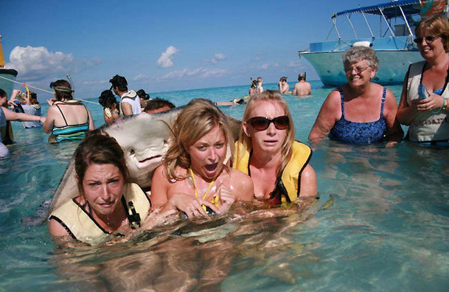 (via Some of the greatest photobombs of all time » Lost At E Minor: For creative people)