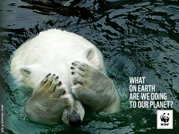 (via WWF: Polar Bear | Ads of the World™)