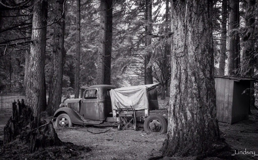 projectstreamzoo:

Incredible!!!1936 Ford 1.5 ton, owned by the same family since it was new.#rebelsunited #BnW #blackandwhite #ForTheLoveOfBlackAndWhite #simplynoir #streamzoo #StreamzooVille #photography #Abandoned #szmetherebel(from @_Lindsey_ on Streamzoo)
