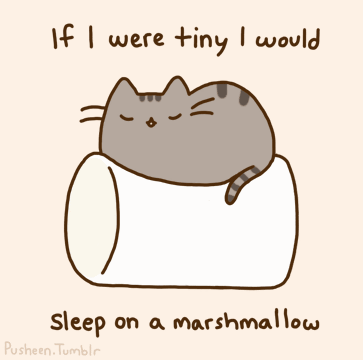 marshmallow cats gif