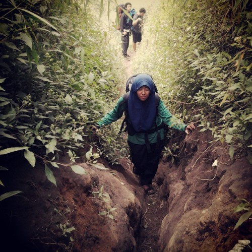 Faizana at Merbabu #mountain today #hiking at jalur Selo #yogyakarta wet #track #green #forest #tropis