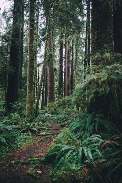benchandcompass:

happy earth day. tread lightly and never stop exploring.
