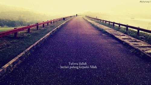 'Fafirru ilallah' -ran back to toward Allah- #still life #Allah S.W.T