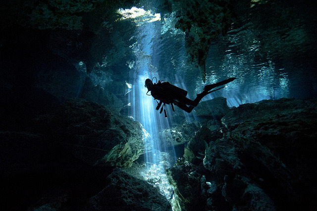 brutalgeneration:

Cenote in Mexico by Alastair Pollock on Flickr.
