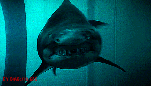 shark night 3d gifs | WiffleGif