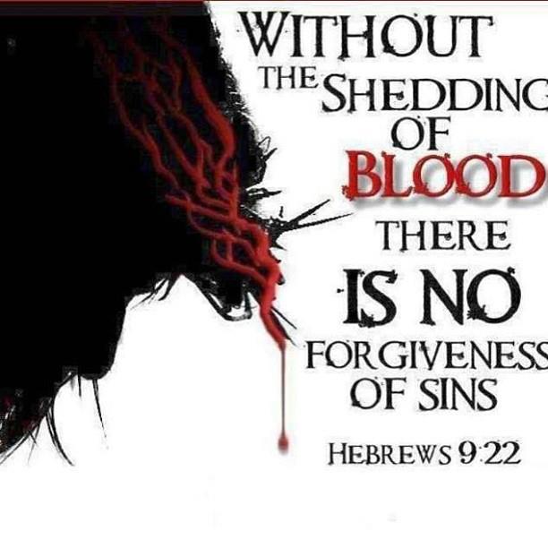 thelordisone:

Without the shedding of blood there is no forgiveness of sins - Hebrews 9:22
We thank you Jesus for without the shedding of your blood there would be no forgiveness of our sins. Jesus is my saviour!
