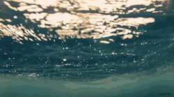 gif Cool lake camera water nature waves ocean sea wave river bubbles under water flora or sth