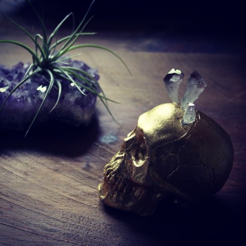 #diy #skull #amethyst #goldskull #crystal #craft #tillandsia #airplant #love #crystals #decor