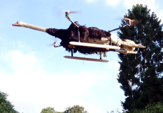 (via I’m Flying, Jack!: A Taxidermied Ostrich Quadrocopter | Geekologie)