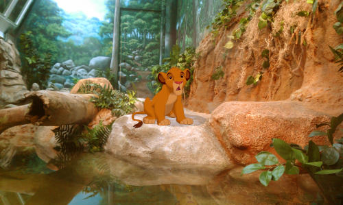 Edit: Added in Simba. I had mistakenly used Kiara from Lion King 2 in the original.