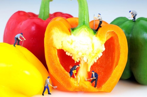 Mining In Colorful Peppers miniature artShop link: http://fineartamerica.com/featured/mining-in-colorful-peppers-mingqi-ge.html
The…View Post