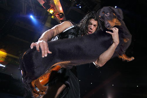 Robert Trujillo playing bass guitar on a sausage dog