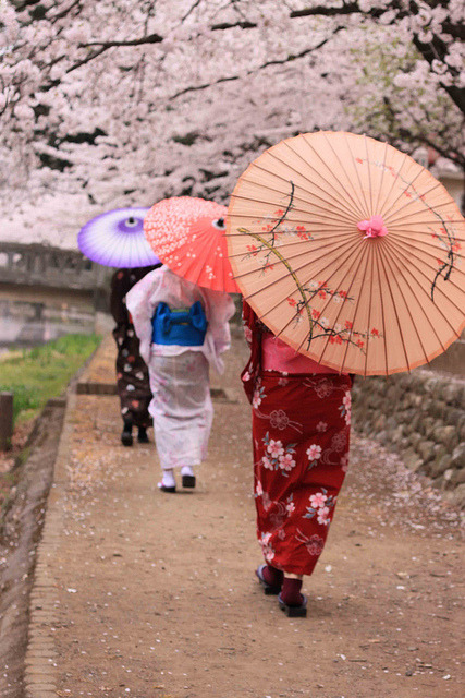 Konnichiwa kawaii world!!: Wagasa : ombrelli giapponesi