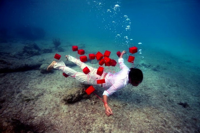 (via Underwater Photography by James Cooper)