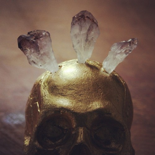 #diy #skull #goldskull #amethyst #crystals #detail #closeup #decor #love