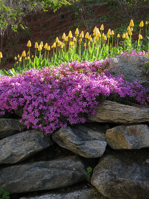 http://loveandaquestion.tumblr.com/post/45095725684/kissmegray-spring-wall-garden-by-myeyesees-on