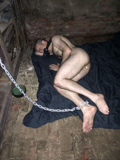tapetteahumilier:

 

The fag in its cell in Sir’s basement during its first rest period yesterday afternoon.  The fag was thankful for the blanket and the water.  With the windows blacked out, the fag was left isolated and in total darkness with only its thoughts to contemplate, “i am a faggot.”


