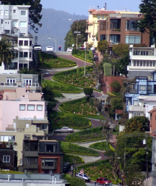 Lombard Street in San Francisco is the &#8220;Windiest Street in the World&#8221;, due to it&#8217;s concentrated curves down one city block (it&#8217;s quite straight elsewhere). We love it because all those curves allow for great greenery in-between!  photos via Ben Ward and David Piva