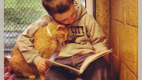 nypl:

This beautiful photo of a little one reading to a furry one has been making the rounds around the interwebs and we couldn’t resist sharing it with you all! The photo was taken during a program held at the Animal Rescue League in Berks County, PA where kids read to shelter animals - helping the kids strengthen their reading skills in a non-judgmental environment and the cat or dog gets some well-deserved affection. The Library has a similar program, so if your little one needs a little reading encouragement, stop by Mulberry Street to Read with Theo the pooch or sign up at Epiphany Library where kids can read with Macaroni (the dog, not the pasta!)