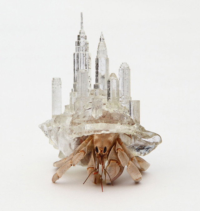 (via Architectural Shell Sculptures for Hermit Crabs)