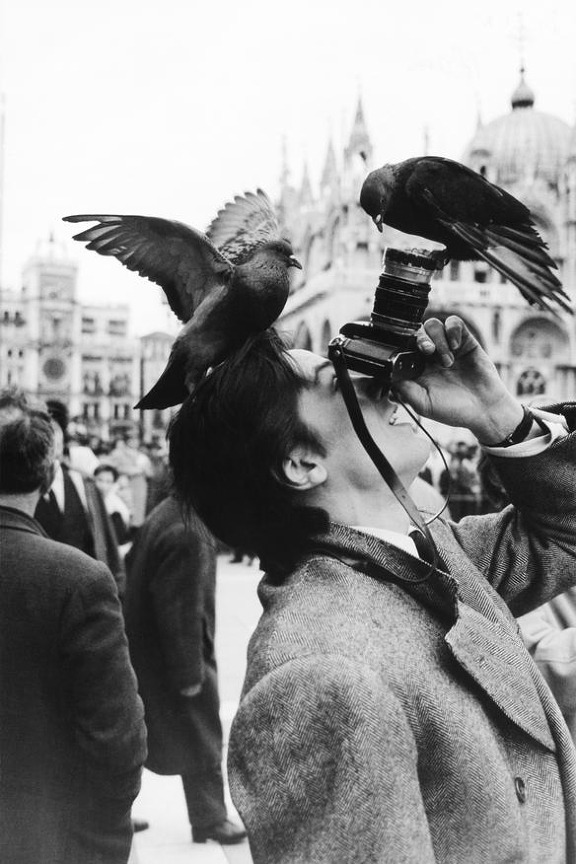 Jack Garofalo. Alain Delon in Venice, 1962

[::SemAp FB || SemAp G+::]