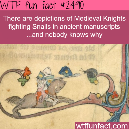 Medieval knights fighting snails
