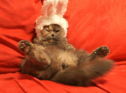 humanrightswatch:

Happy Easter, and happy Friday Tumblr!
