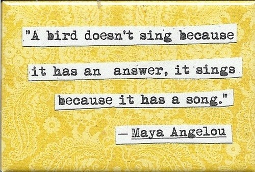 thewhisperedwhimsy:

Bird Song on We Heart It. http://weheartit.com/entry/67310918/via/penny400
