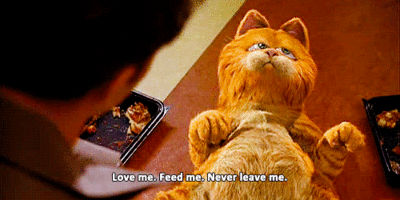 Image result for garfield food gifs the movie