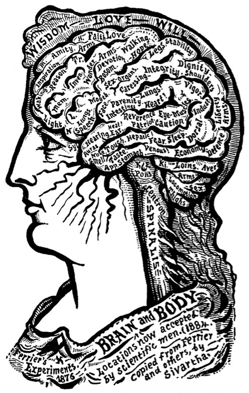 indypendent-thinking:

Brain and Body
Alesha Sivartha, The Book of Life: The Spiritual and Physical Constitution of Man, 1912
(via The 11 Best Art and Design Books of 2011 | Brain Pickings)
