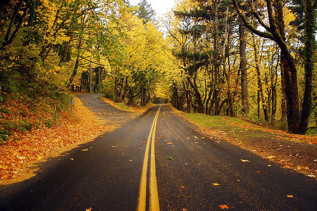 Autumn on the historic highway by Just Peachy! on Flickr.