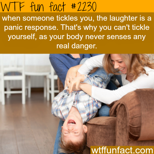 Why you can&#8217;t tickle yourself - WTF fun facts