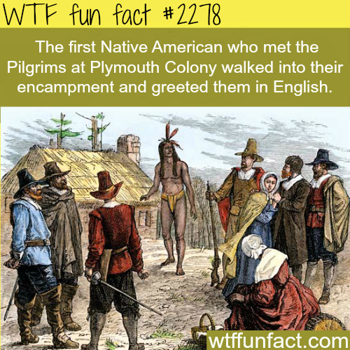 The first Native American who met the pilgrims - WTF fun facts