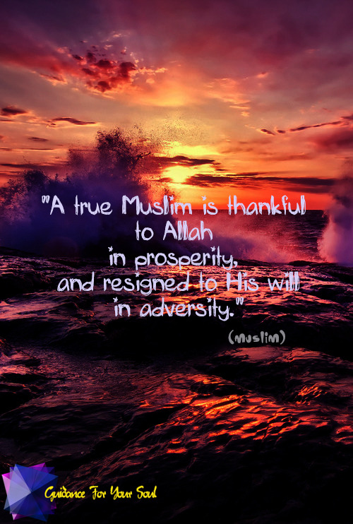 &#8220;A true Muslim is thankful to Allah in prosperity, and resigned to His will in adversity&#8221;[Muslim]
Website | Facebook | Twitter