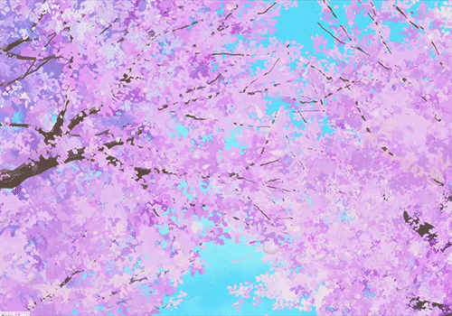 cherry blossom gifs Page 3