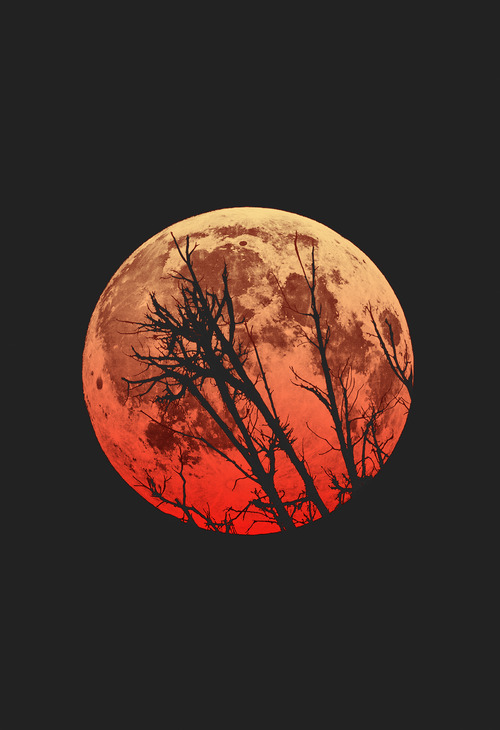 Featured image of post Moon Dark Forest Drawing Drawing represents a dark forest at dusk covered in fog