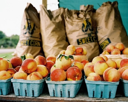 rainydaysandblankets:

seriously, though - is it peach season yet…?
