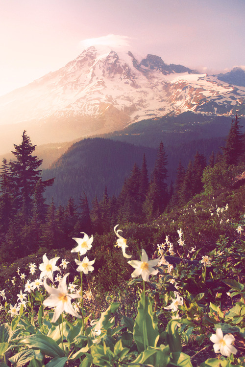 candidnightmares: The Mountain (by posthumus_cake) 