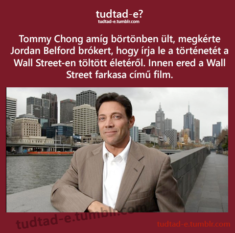 <p>Tommy Chong amg brtnben lt, megkrte Jordan Belford brkert, hogy rja le a trtnett a Wall Street-en tlttt letrl. Innen ered a Wall Street farkasa cm film.</p>