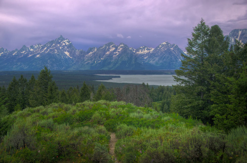 View of Grand Teton Mountains in the Evening from Signal Mountain by Carl’s Photography on Flickr.